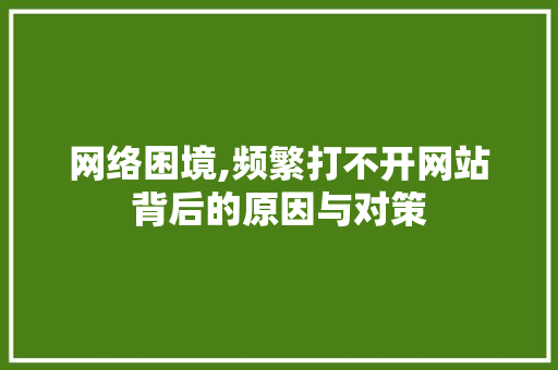 网络困境,频繁打不开网站背后的原因与对策