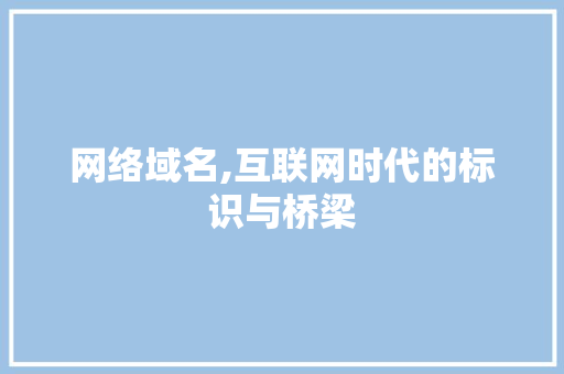 网络域名,互联网时代的标识与桥梁