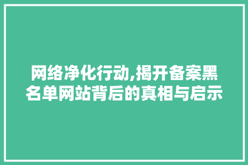 网络净化行动,揭开备案黑名单网站背后的真相与启示