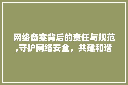 网络备案背后的责任与规范,守护网络安全，共建和谐网络环境