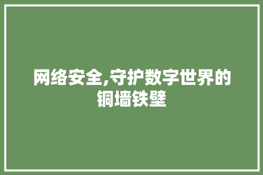 网络安全,守护数字世界的铜墙铁壁