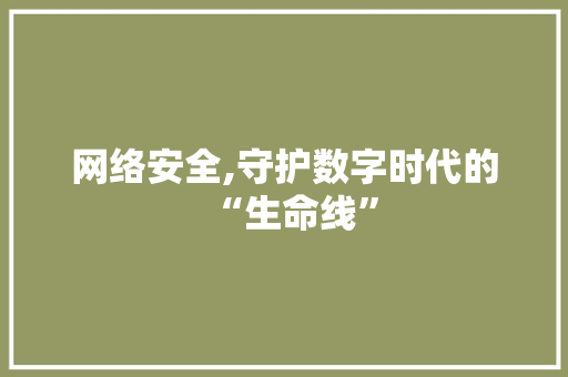 网络安全,守护数字时代的“生命线”