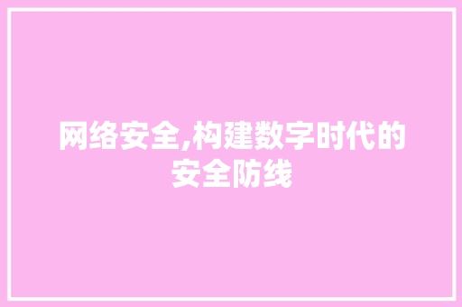 网络安全,构建数字时代的安全防线