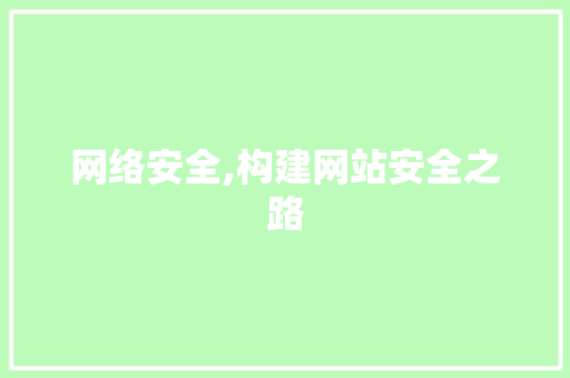 网络安全,构建网站安全之路