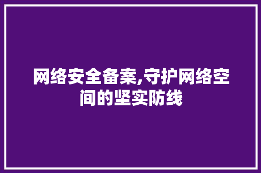 网络安全备案,守护网络空间的坚实防线