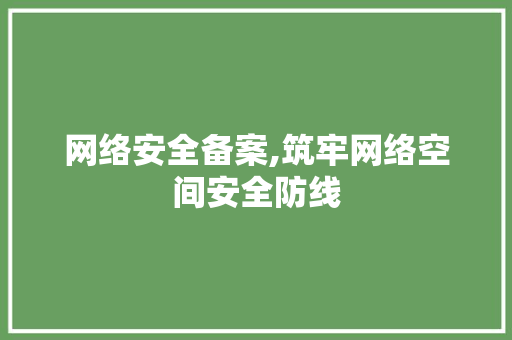 网络安全备案,筑牢网络空间安全防线