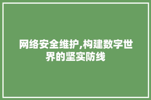 网络安全维护,构建数字世界的坚实防线