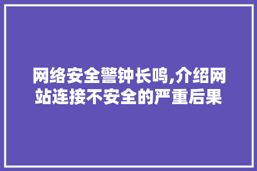 网络安全警钟长鸣,介绍网站连接不安全的严重后果