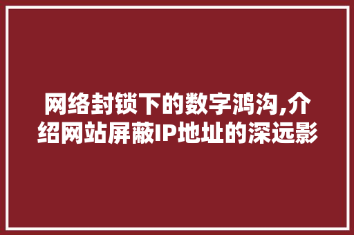 网络封锁下的数字鸿沟,介绍网站屏蔽IP地址的深远影响