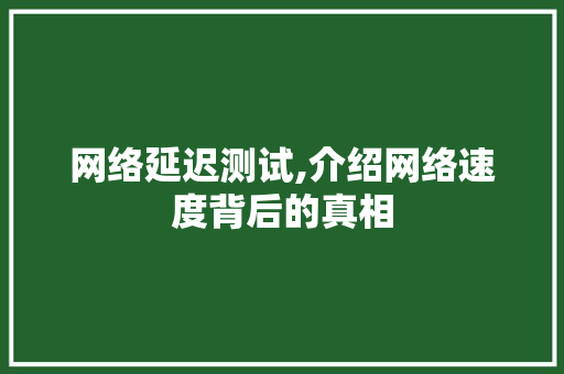 网络延迟测试,介绍网络速度背后的真相