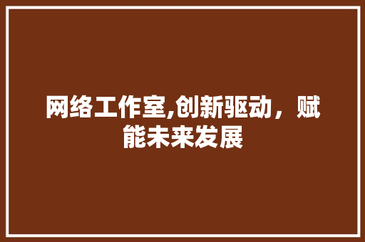 网络工作室,创新驱动，赋能未来发展