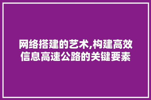 网络搭建的艺术,构建高效信息高速公路的关键要素