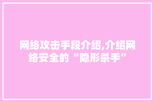 网络攻击手段介绍,介绍网络安全的“隐形杀手”