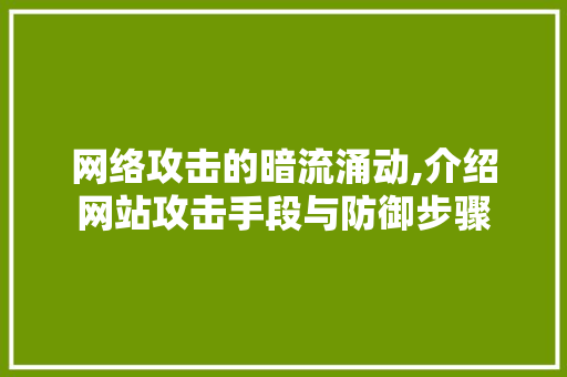 网络攻击的暗流涌动,介绍网站攻击手段与防御步骤