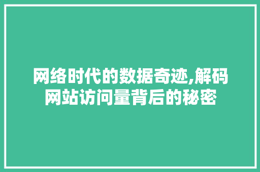 网络时代的数据奇迹,解码网站访问量背后的秘密