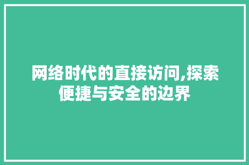 网络时代的直接访问,探索便捷与安全的边界 网络时代的直接访问,探索便捷与安全的边界 必应SEO