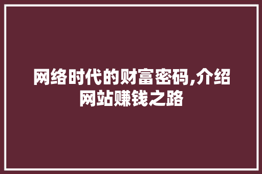 网络时代的财富密码,介绍网站赚钱之路