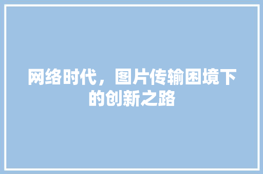 网络时代，图片传输困境下的创新之路
