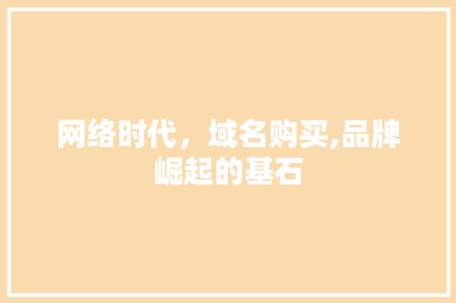 网络时代，域名购买,品牌崛起的基石