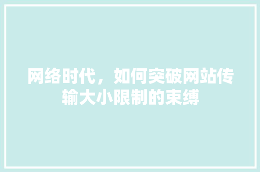 网络时代，如何突破网站传输大小限制的束缚