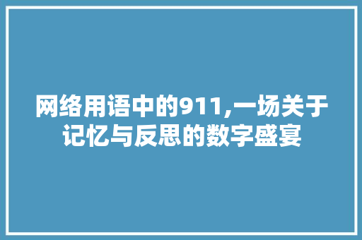 网络用语中的911,一场关于记忆与反思的数字盛宴