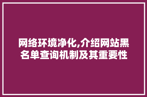 网络环境净化,介绍网站黑名单查询机制及其重要性