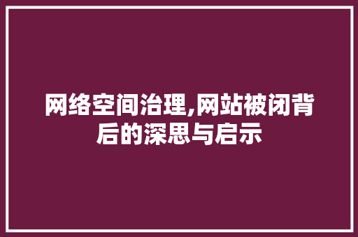 网络空间治理,网站被闭背后的深思与启示