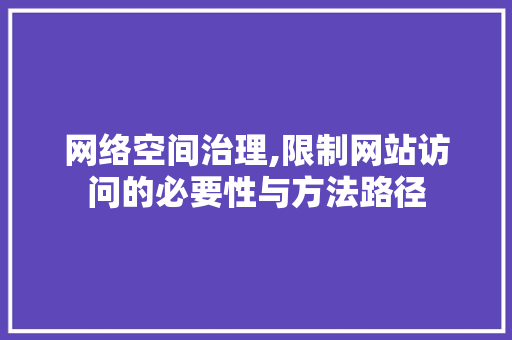 网络空间治理,限制网站访问的必要性与方法路径