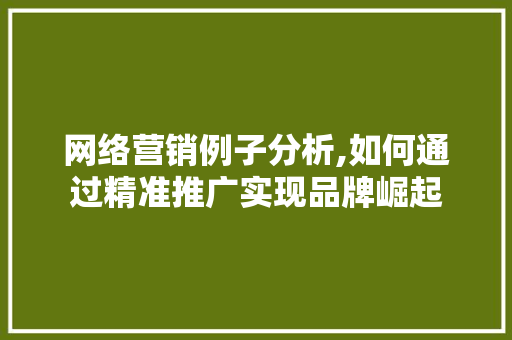 网络营销例子分析,如何通过精准推广实现品牌崛起