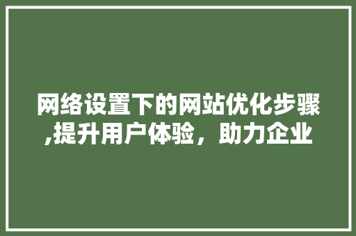 网络设置下的网站优化步骤,提升用户体验，助力企业腾飞