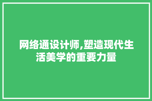 网络通设计师,塑造现代生活美学的重要力量 网络通设计师,塑造现代生活美学的重要力量 百度SEO