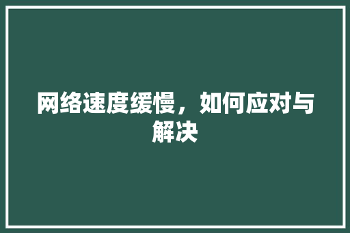 网络速度缓慢，如何应对与解决 网络速度缓慢，如何应对与解决 搜狗SEO