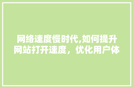 网络速度慢时代,如何提升网站打开速度，优化用户体验 网络速度慢时代,如何提升网站打开速度，优化用户体验 必应SEO