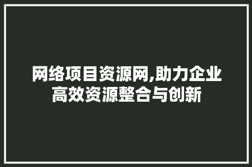 网络项目资源网,助力企业高效资源整合与创新