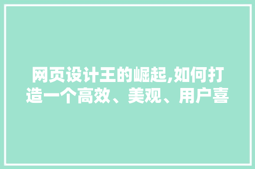 网页设计王的崛起,如何打造一个高效、美观、用户喜爱的网站