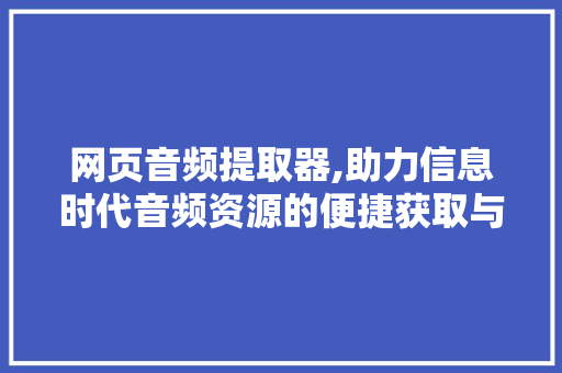 网页音频提取器,助力信息时代音频资源的便捷获取与利用