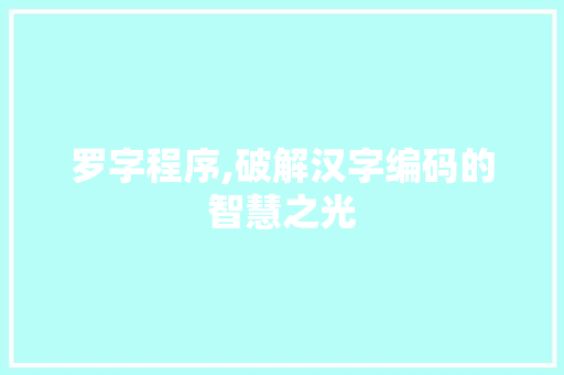 罗字程序,破解汉字编码的智慧之光 罗字程序,破解汉字编码的智慧之光 SEO关键词