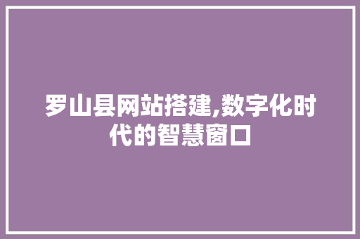 罗山县网站搭建,数字化时代的智慧窗口
