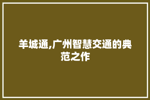 羊城通,广州智慧交通的典范之作