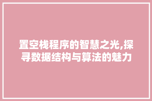 置空栈程序的智慧之光,探寻数据结构与算法的魅力