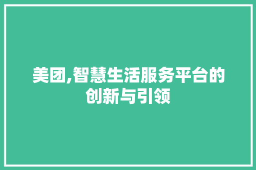 美团,智慧生活服务平台的创新与引领