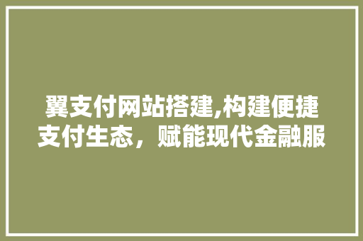 翼支付网站搭建,构建便捷支付生态，赋能现代金融服务