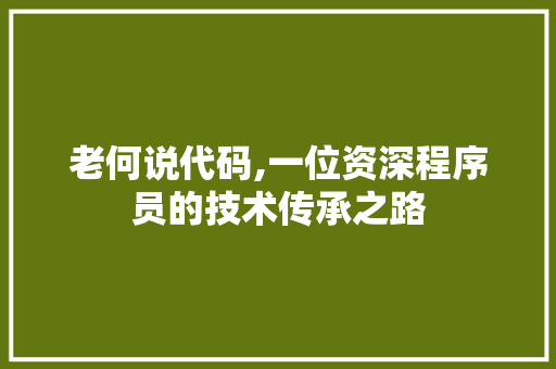 老何说代码,一位资深程序员的技术传承之路