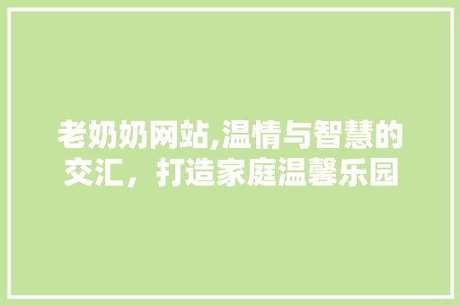 老奶奶网站,温情与智慧的交汇，打造家庭温馨乐园