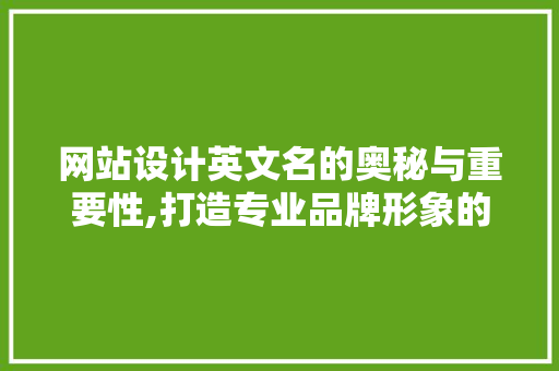 网站设计英文名的奥秘与重要性,打造专业品牌形象的关键 网站设计英文名的奥秘与重要性,打造专业品牌形象的关键 百度SEO