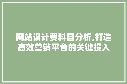 网站设计费科目分析,打造高效营销平台的关键投入