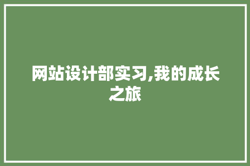 网站设计部实习,我的成长之旅