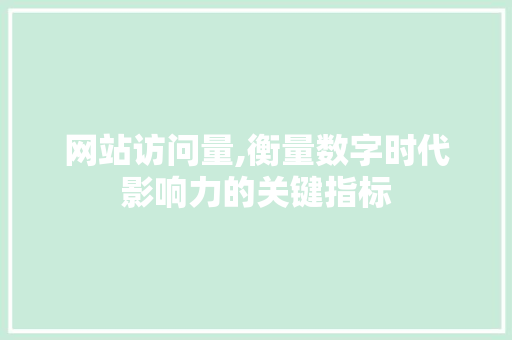 网站访问量,衡量数字时代影响力的关键指标