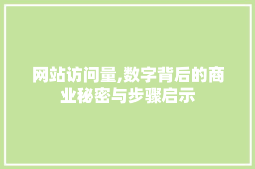 网站访问量,数字背后的商业秘密与步骤启示