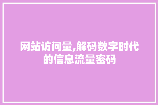 网站访问量,解码数字时代的信息流量密码